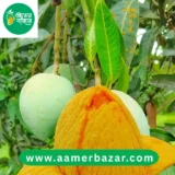 হিমসাগর আম | ১৫ কেজি